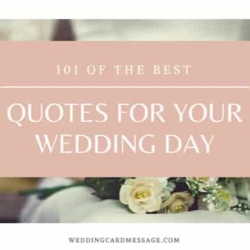 What to Write in a Wedding Card  Wedding Card Message