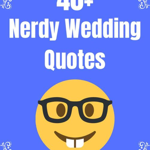 40+ Nerdy Wedding Quotes for Geeks